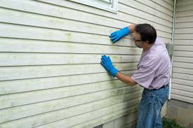 Affordable Siding Repair and Maintenance Services in Siena College, NY